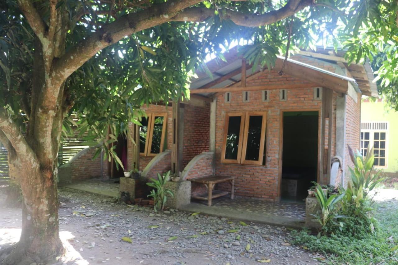 Jhony'S Backpacker-Guest House Only Stay Here Book Treking With Us 武吉拉旺 外观 照片