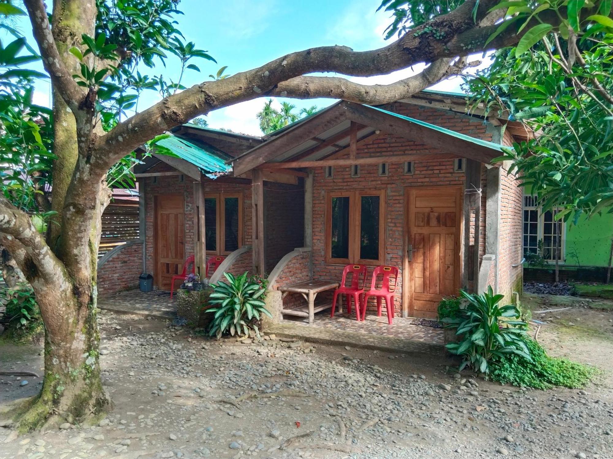 Jhony'S Backpacker-Guest House Only Stay Here Book Treking With Us 武吉拉旺 外观 照片